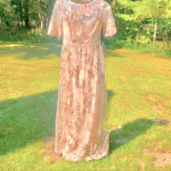 ADRIANNA PAPELL ROSE QUART LONG ILLUSION MESH DRESS 8 NWT - Picture 10 of 16